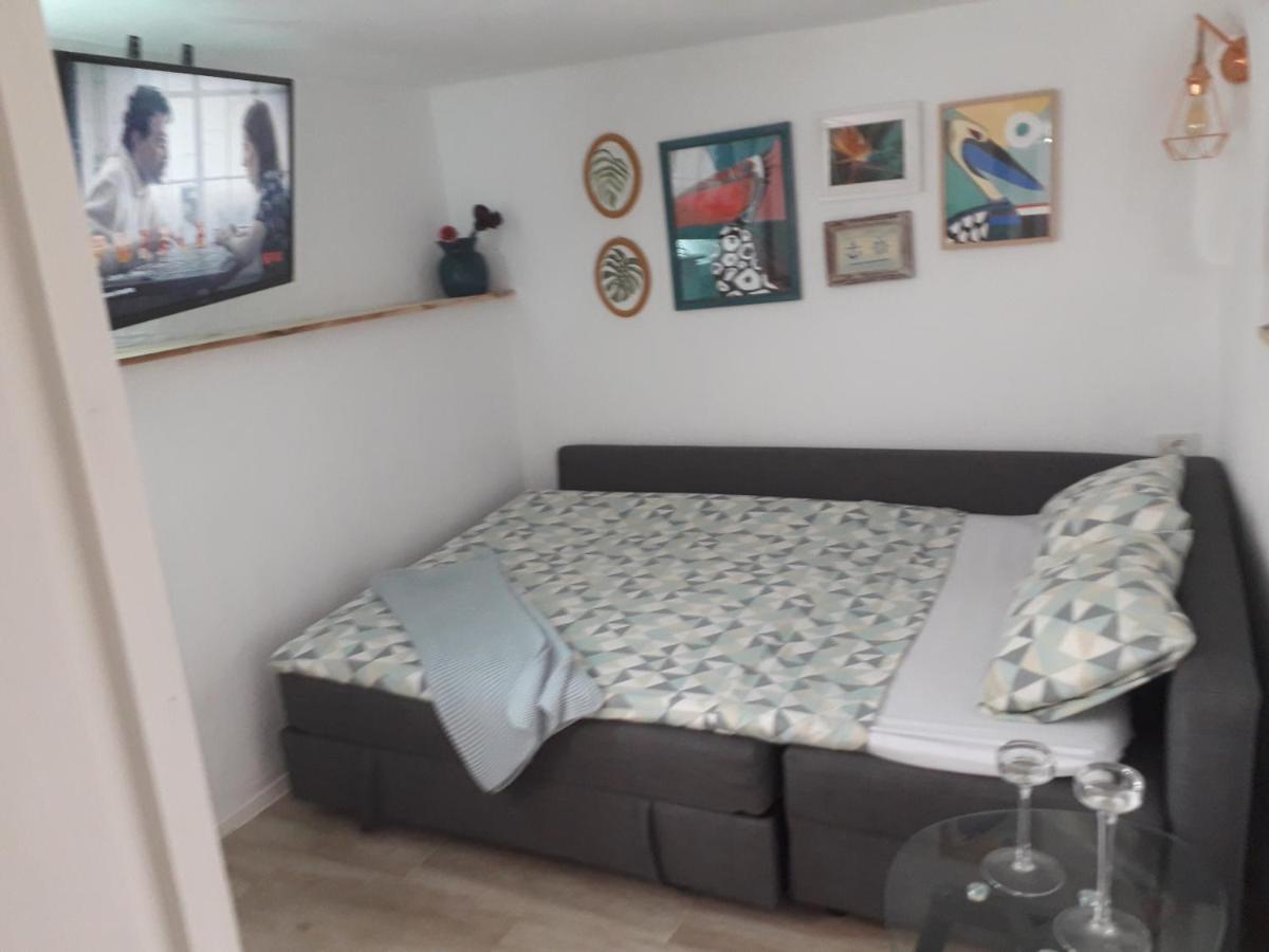 Apartamento Trini La Jaca Dış mekan fotoğraf